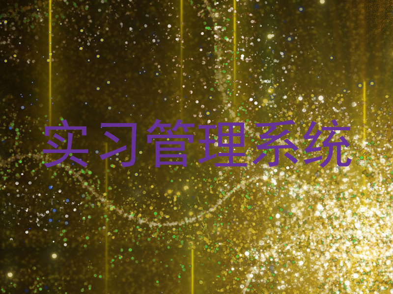 实习管理系统
