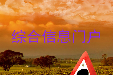 综合信息门户