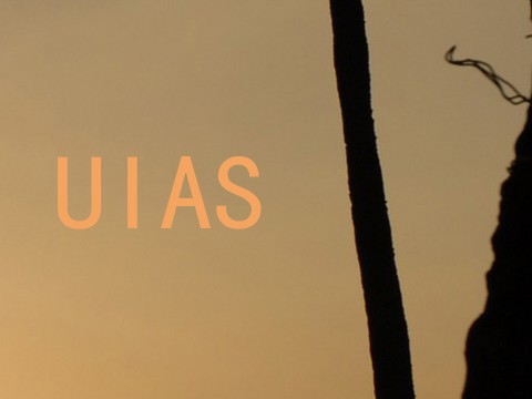 UIAS