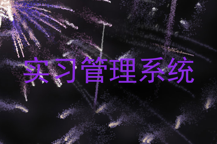 实习管理系统