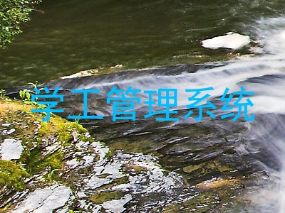 学工管理系统
