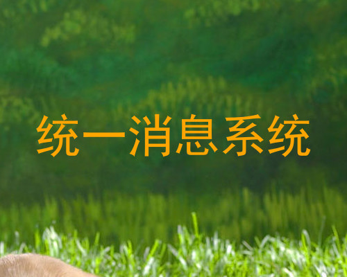 统一消息系统