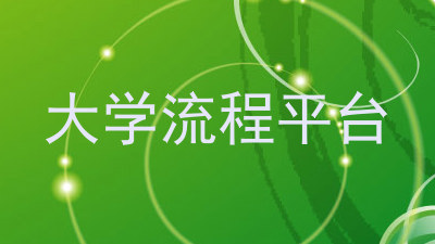 大学流程平台