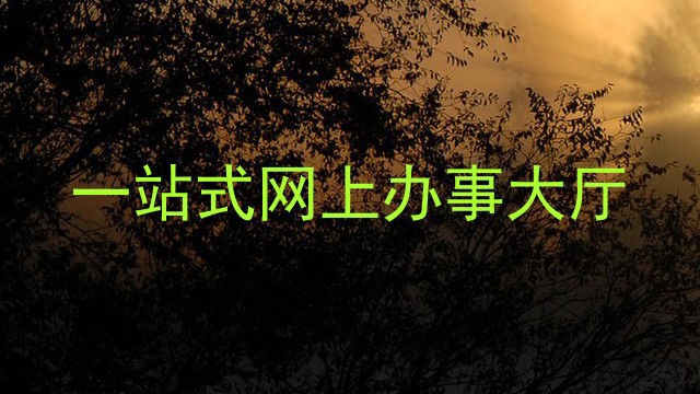 一站式网上办事大厅