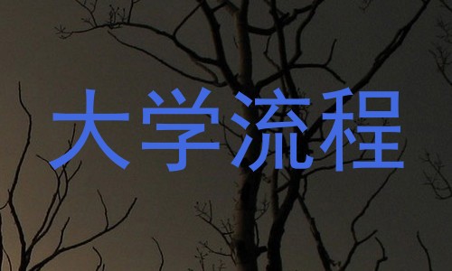 大学流程