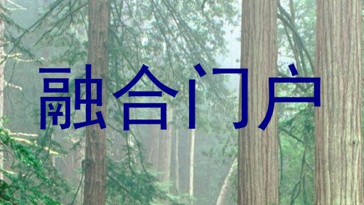 融合门户