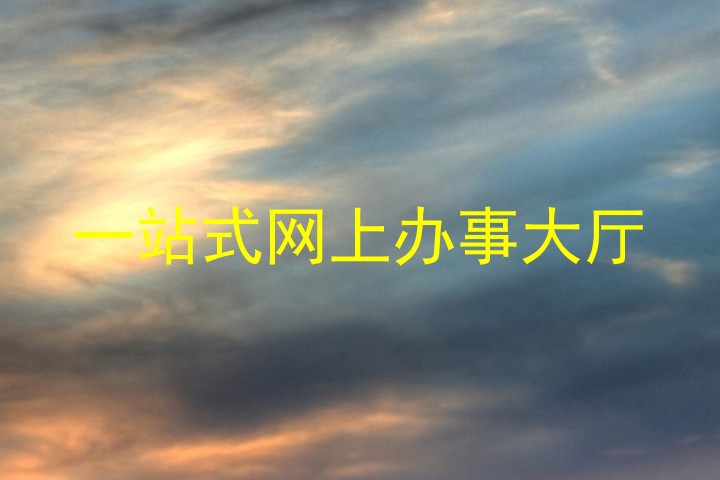 一站式网上办事大厅