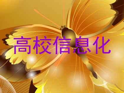 高校信息化