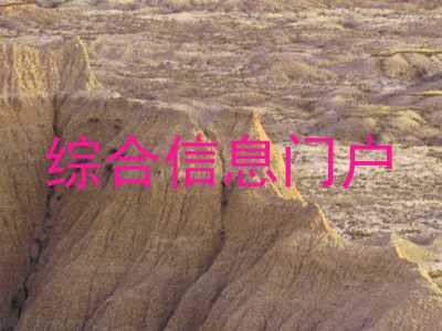 综合信息门户