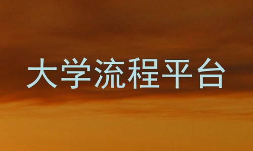大学流程平台