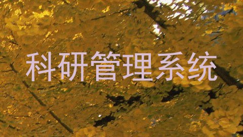 科研管理系统