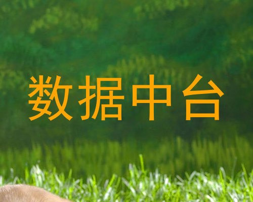 数据中台