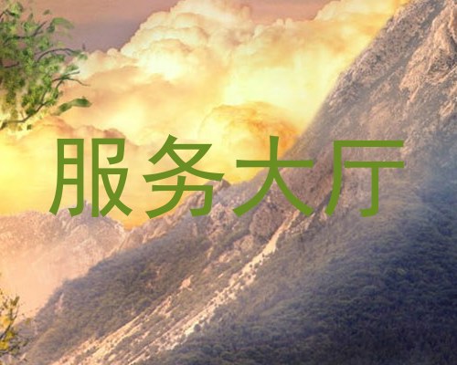 服务大厅