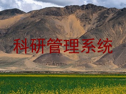 科研管理系统