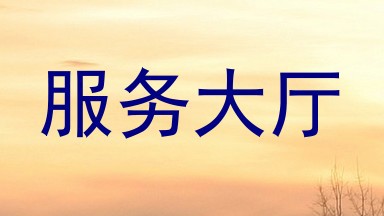 服务大厅