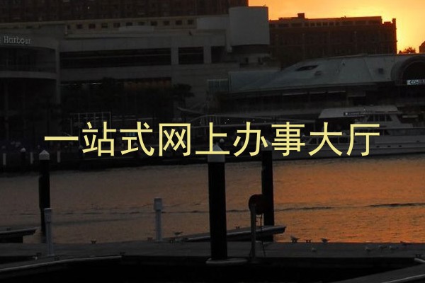 一站式网上办事大厅