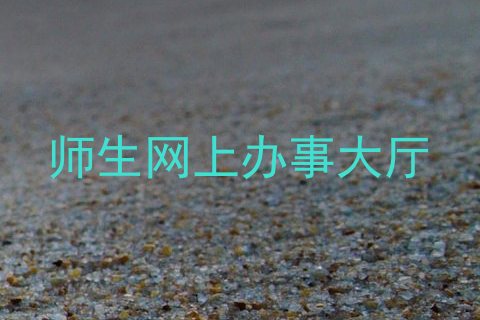 师生网上办事大厅