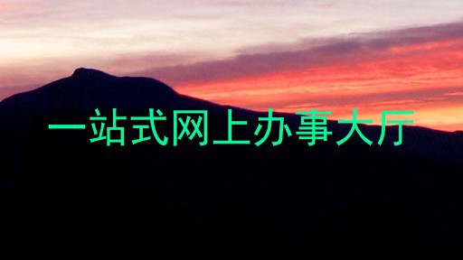 一站式网上办事大厅