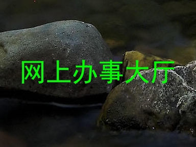 网上办事大厅
