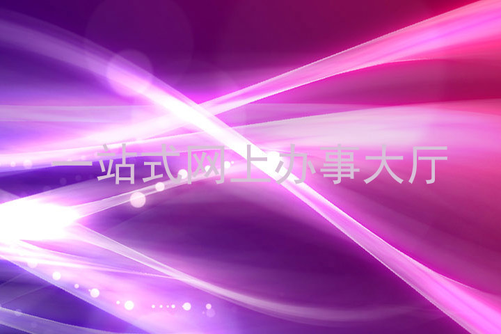 一站式网上办事大厅