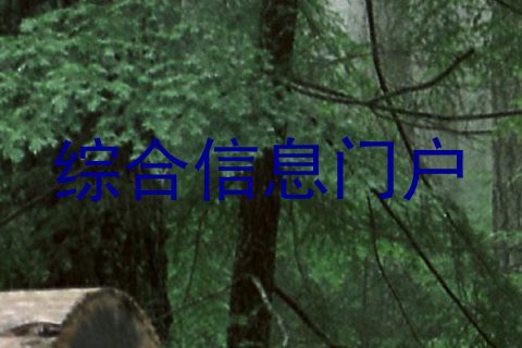 综合信息门户