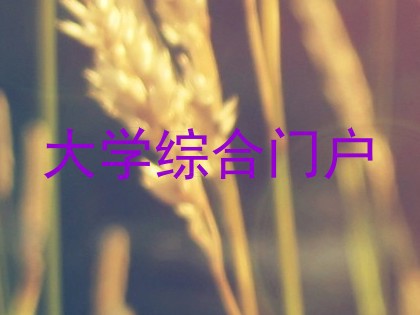 大学综合门户