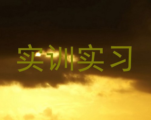实训实习
