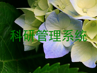 科研管理系统