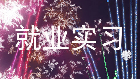 就业实习