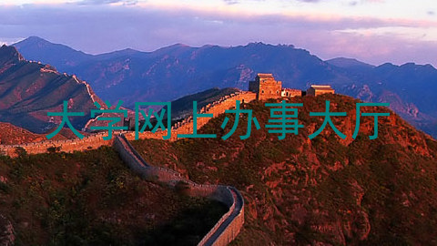 大学网上办事大厅