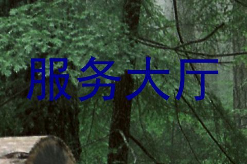 服务大厅
