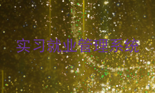 实习就业管理系统