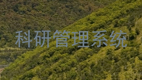 科研管理系统
