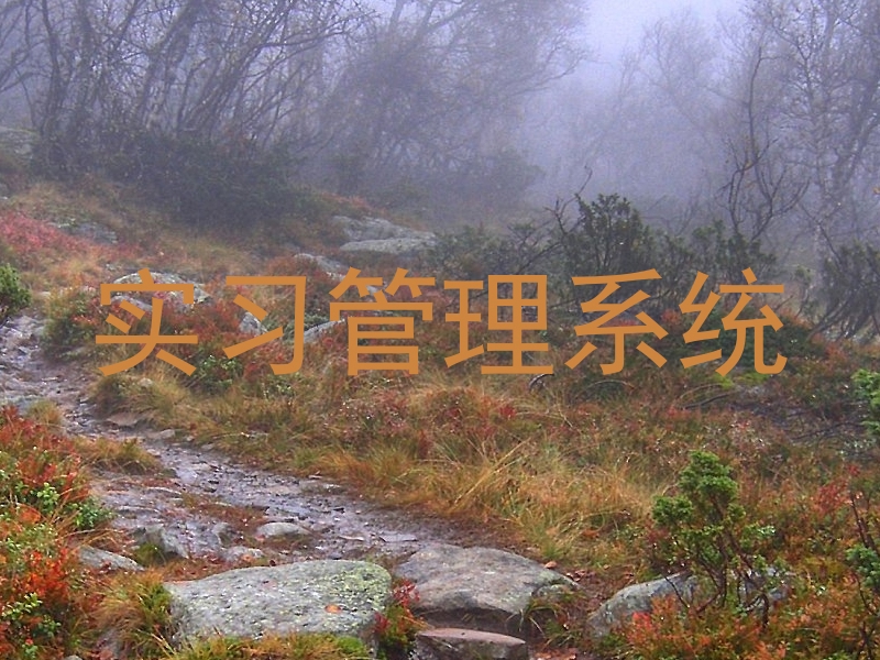 实习管理系统