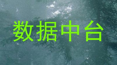 数据中台