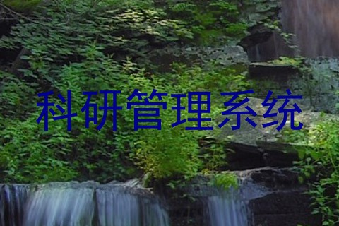 科研管理系统