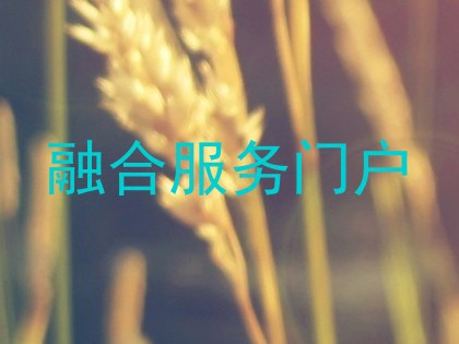 融合服务门户