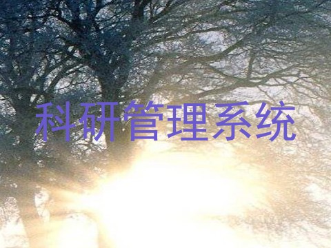 科研管理系统