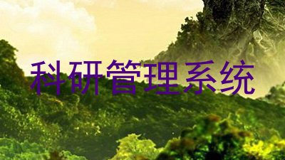 科研管理系统