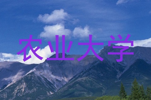 农业大学