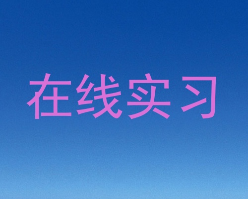 在线实习