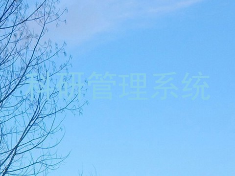 科研管理系统