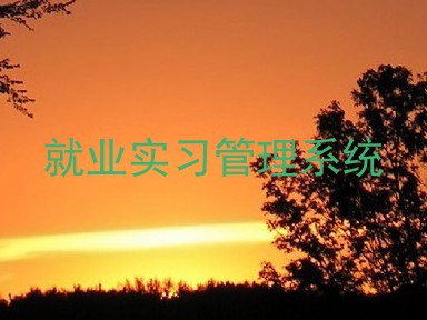 就业实习管理系统