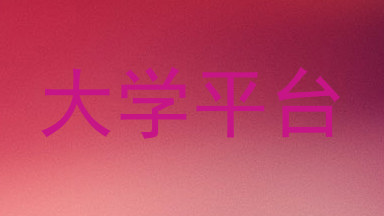 大学平台