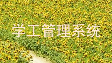 学工管理系统