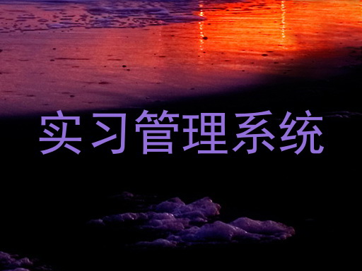 实习管理系统