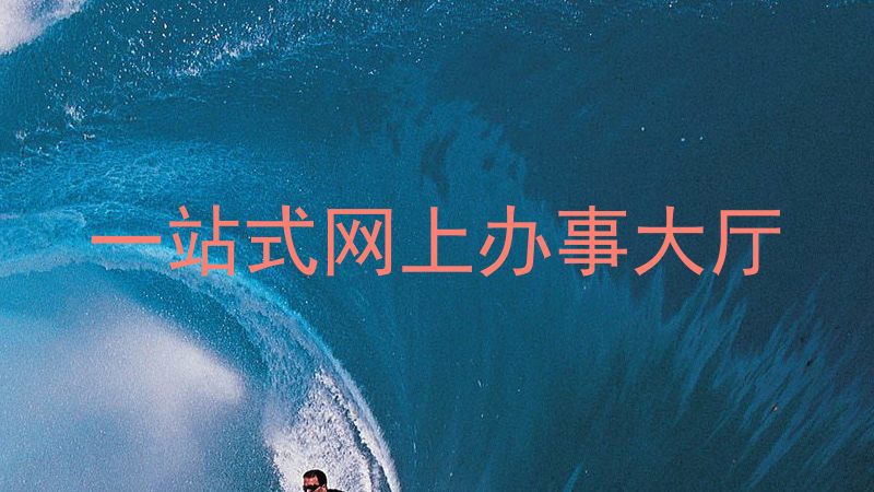 一站式网上办事大厅