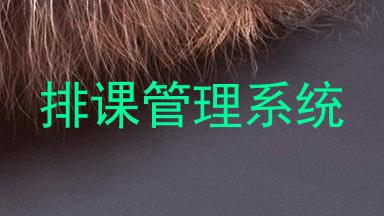 排课管理系统