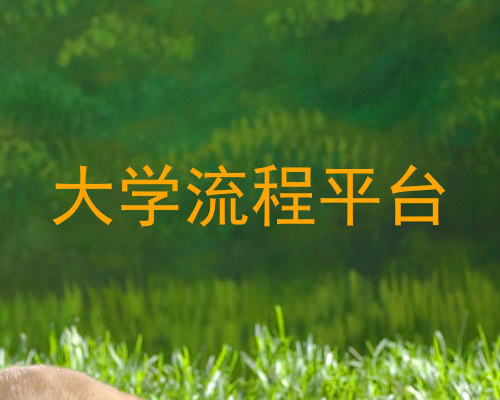大学流程平台