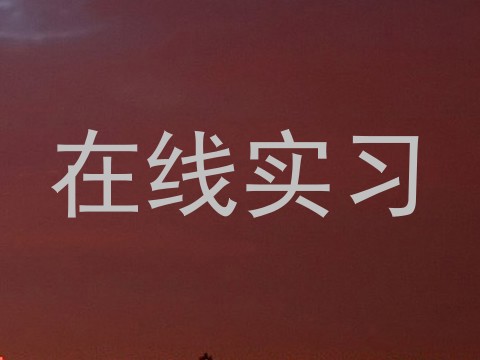 在线实习